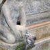 monkey_macaque_balinese_mf_ubud_v_1077_bal4795.jpg